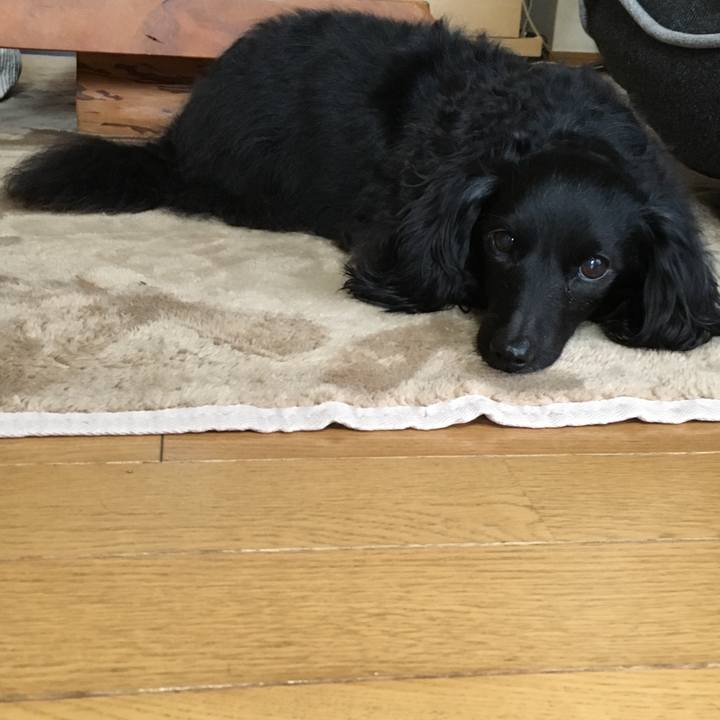 13fdc490 5a19 4c2c 887e 1068cf4e2f6e