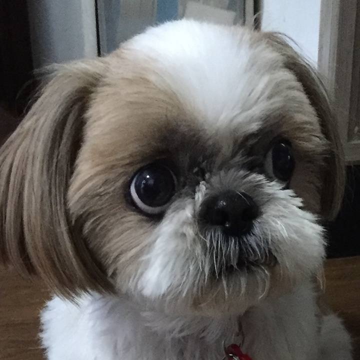 13fe2230 cab2 4de5 bfd0 a2d08fa715e0