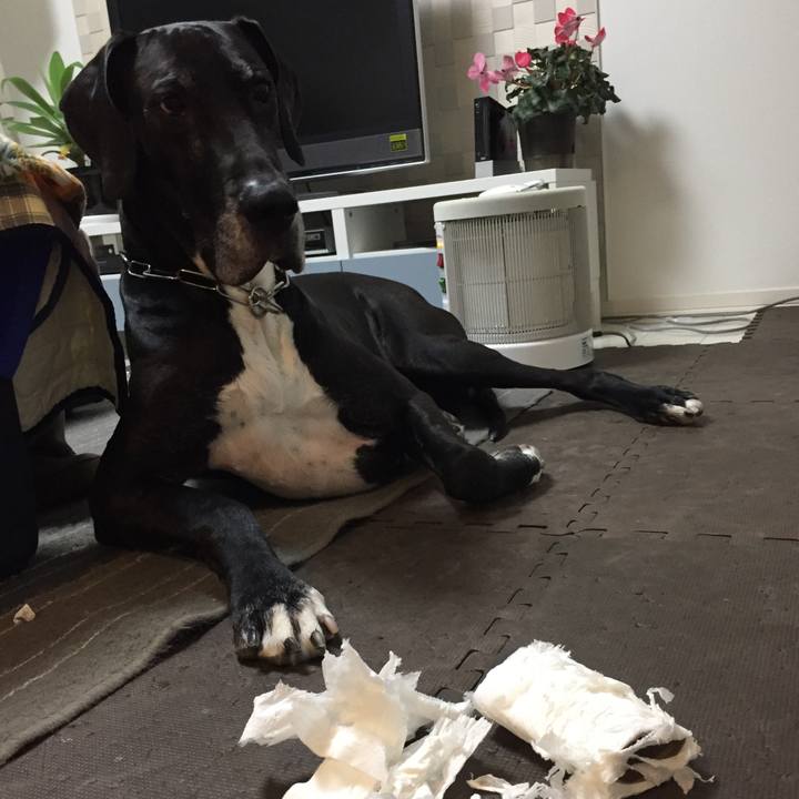 13fe63db 4a9e 40e2 8d9f d84e8f0677b5