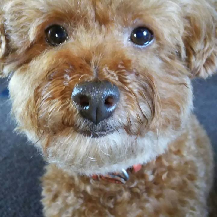 13fe7aea 56fc 4440 9cd0 a6d9d824a4ee