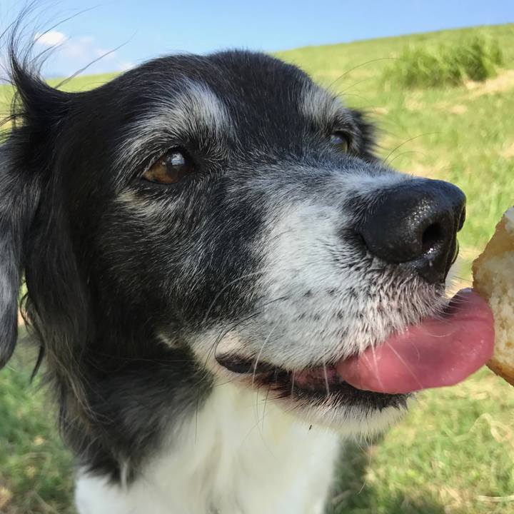 13febab4 c5a4 434c 9946 6a38b9ecec86