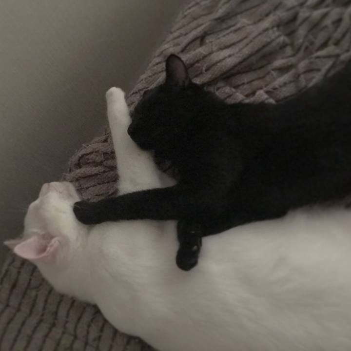 13fed1e4 62bb 4fb6 be50 c92c7995b367