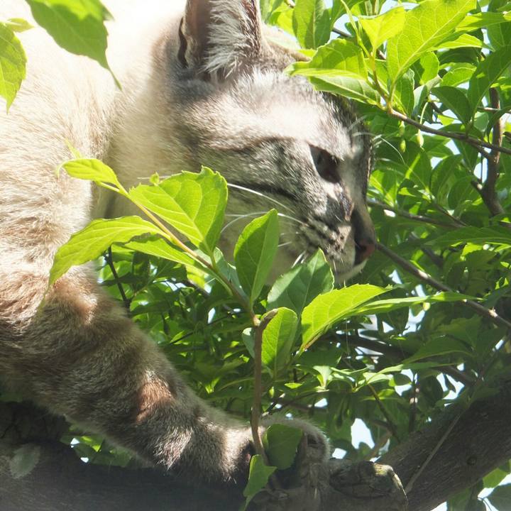 13fef359 7c0c 46c2 8a64 c70ad5c25f17