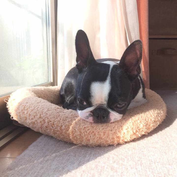 13fef5a2 767c 444d 8a0f 7d1745aba701