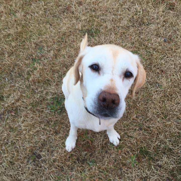 13ff0919 b5b0 4186 9e96 d8c449b0bf5e