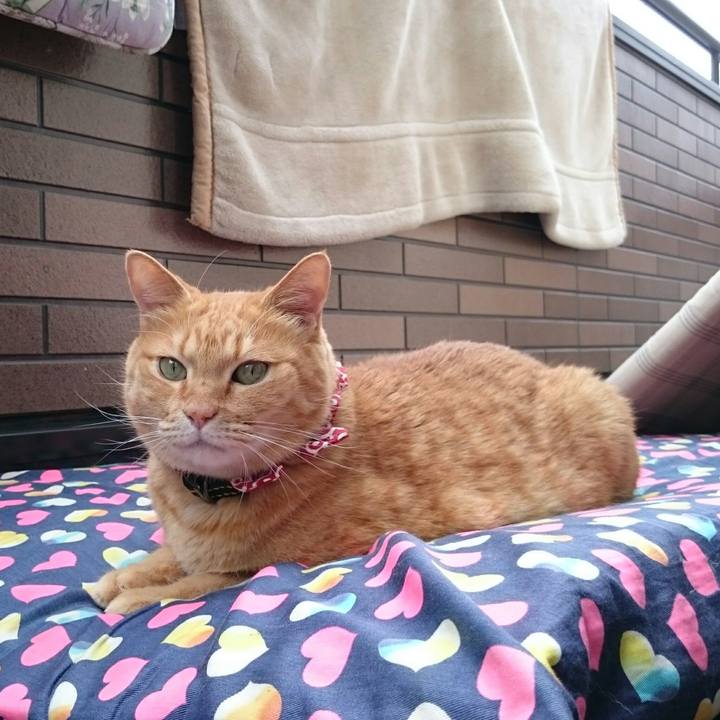 13ff60da ee00 41e6 80d9 1372f1d69e08