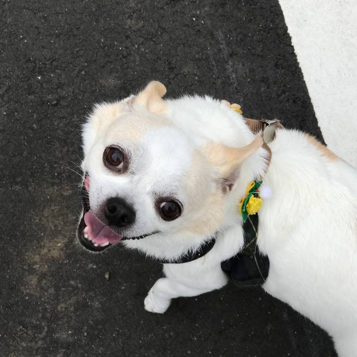 13ffa4d7 a244 4812 8c58 5c4497bf8352