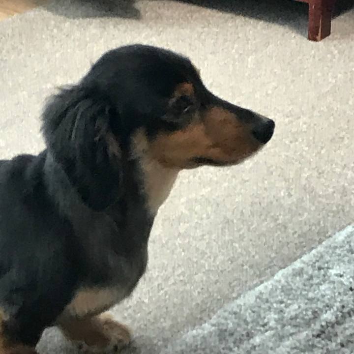 13ffc648 5c78 402b 8d4c c7008d7f5252