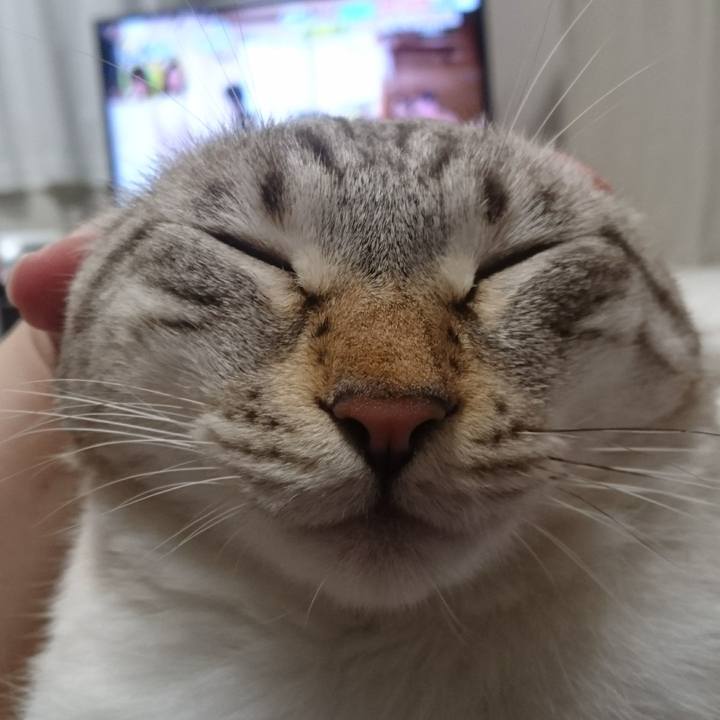 140047b8 8769 4d65 a61a 116c4b137dab