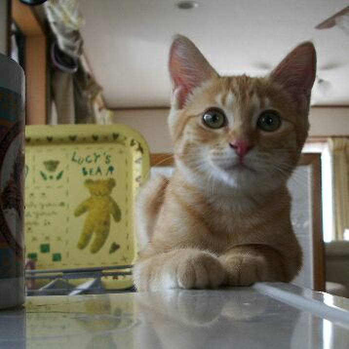 1400804f d222 44bf 8dd2 af3d10f5dd9c