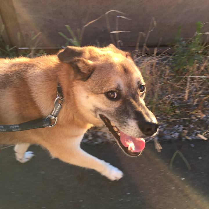 14015fb9 f6c6 4801 b2ed d88939039402