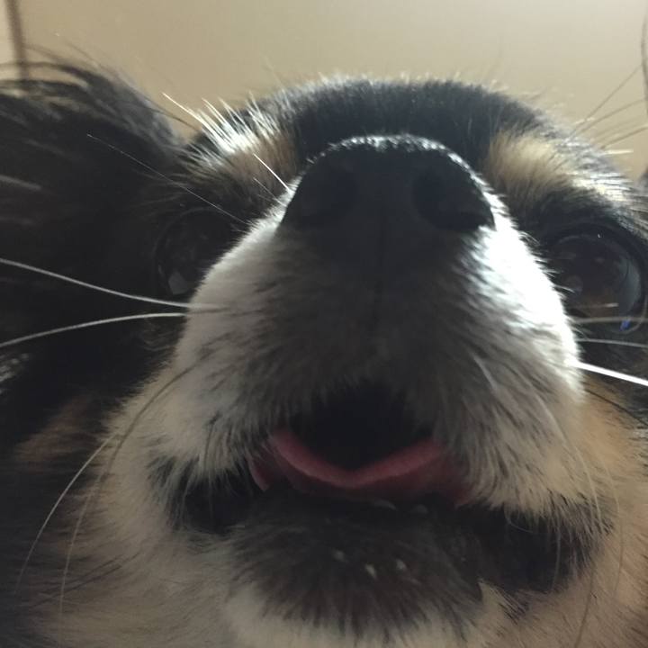 140173bc 24a6 48be acda 3825b0bbbe2d