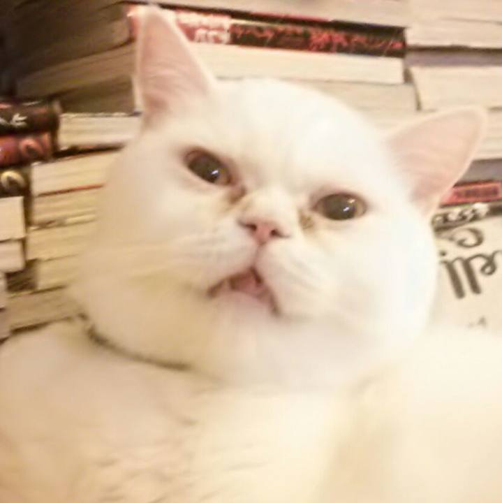 1401f5f9 e8e2 4df4 88d6 88fb5eabba86