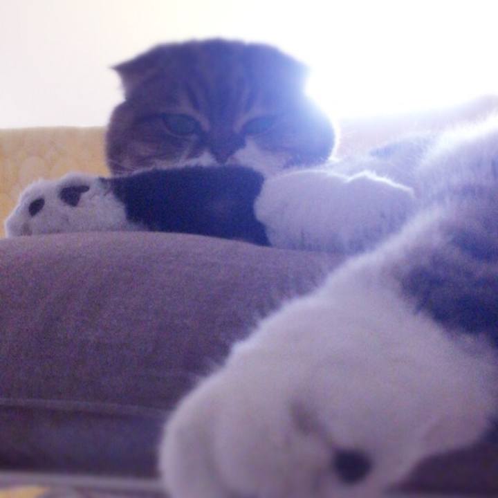 1402c78e 7438 45ae b51b 6e5ce6acf741