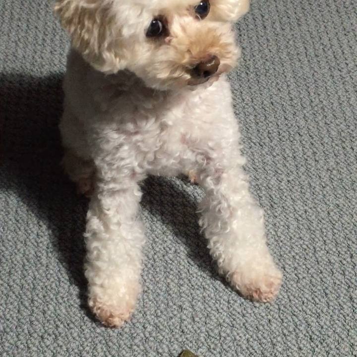 14030cc0 4db1 4e01 a6c5 4720b6696b57