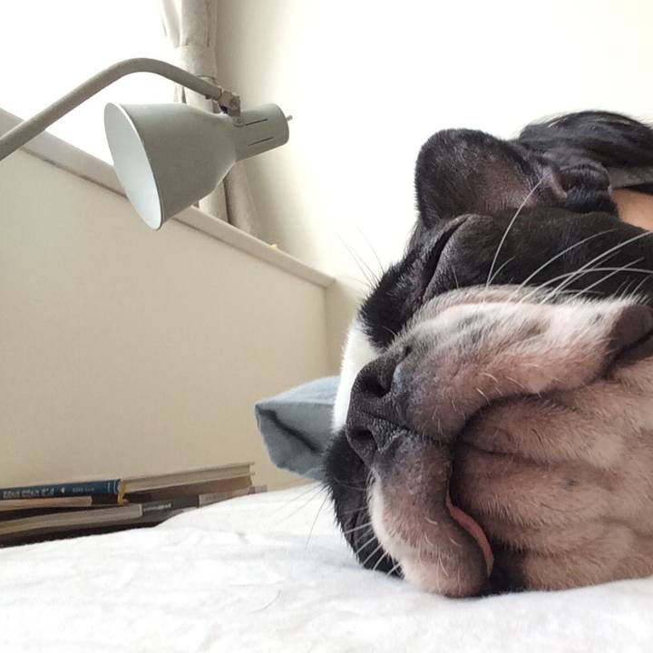 1403359a 4ebf 4c7a 97e7 d7d540dd753f