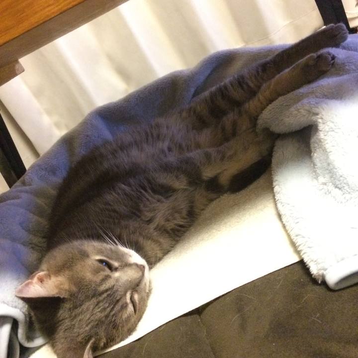 14035363 fe98 4ad2 8f88 4c3501375c17