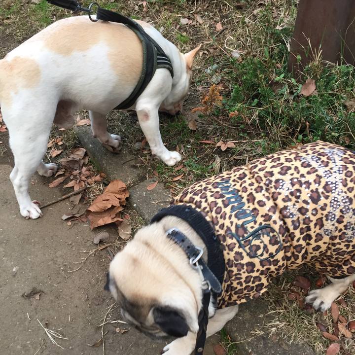 1403ca8e 89d2 4323 94b6 4dcf5e2159e4