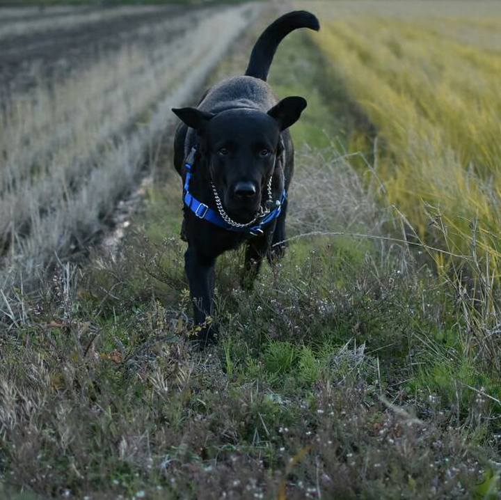 1403ce5b 8337 4f63 8808 67b0ae44f2a9