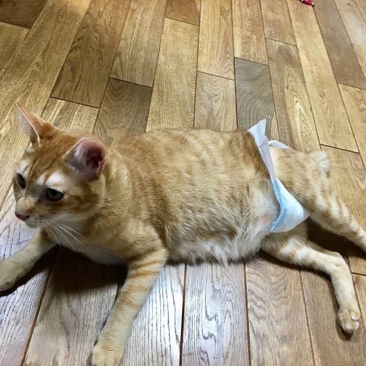 1403d71d 9207 4948 95b5 7267fecc1893