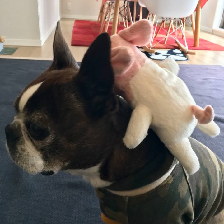 1403e131 a335 473e b20c 44430d755ee6