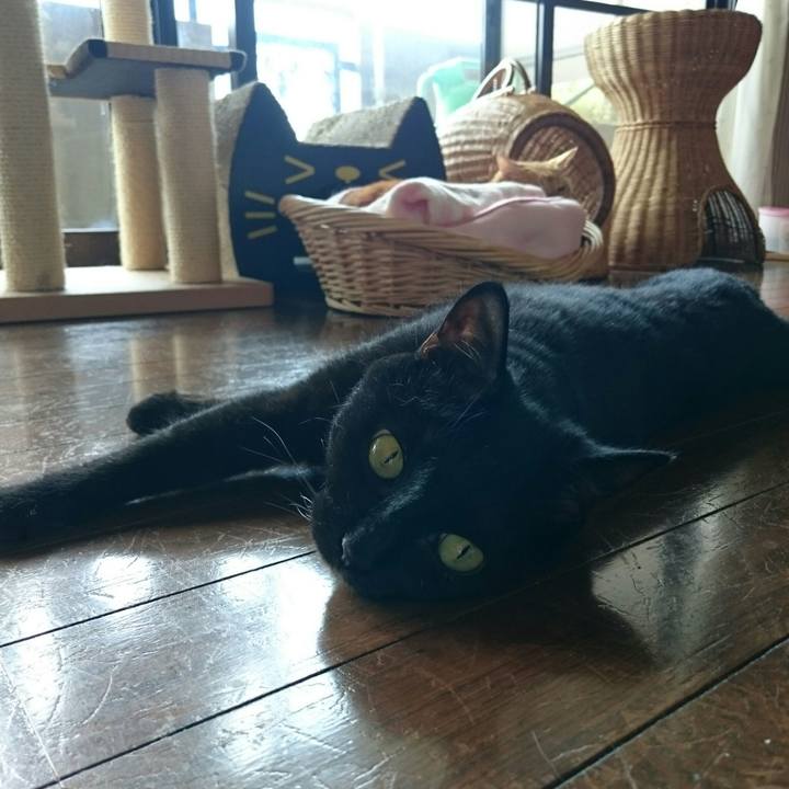 1403f1a0 9c86 4fd0 9290 927c39199e90