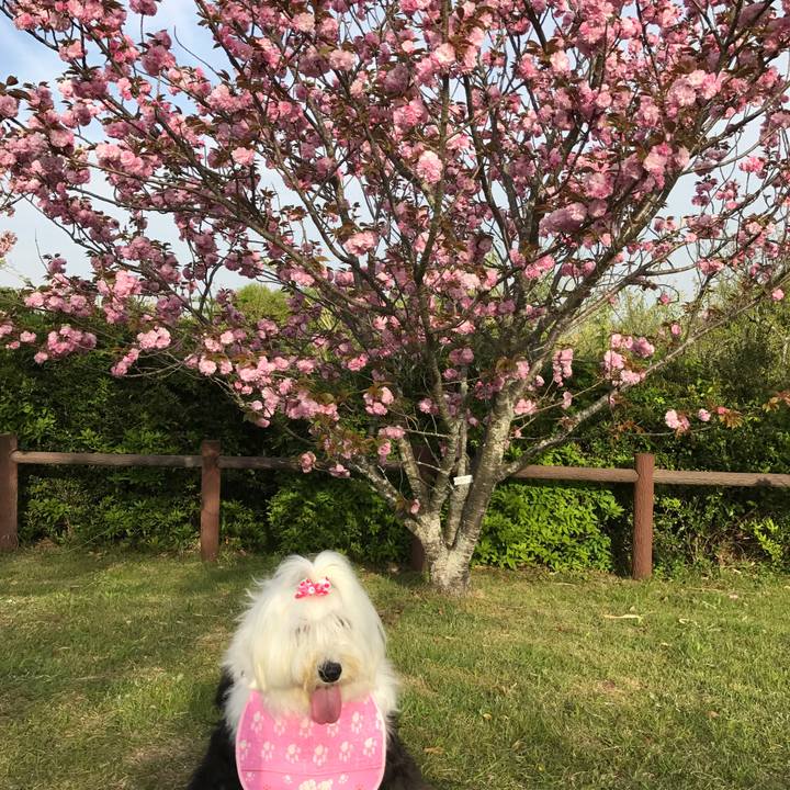 1404bf8d a619 4c0c ad61 35d4edf77924