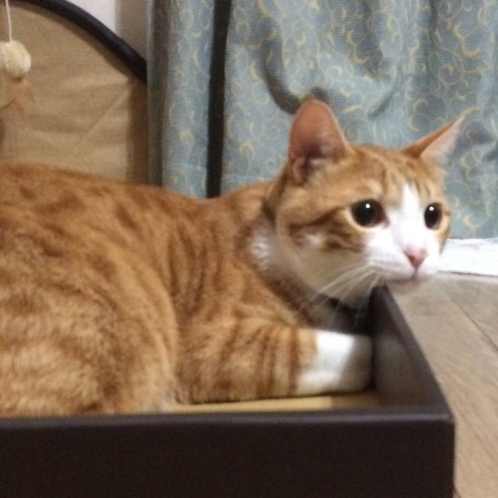 1404d4e1 b9fd 406a ab20 251103834fd8