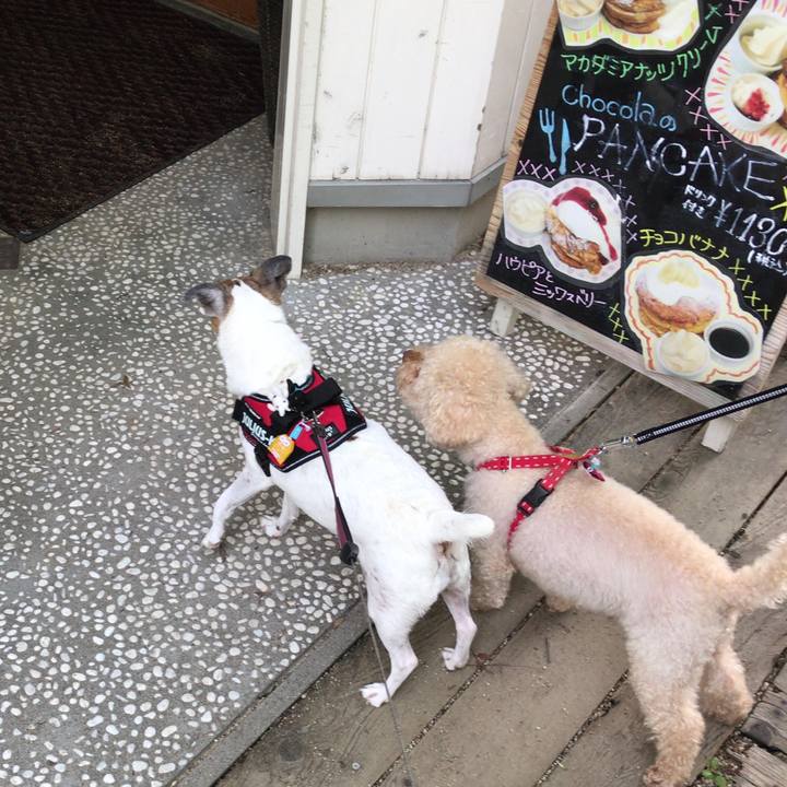 1405015d 0f01 4287 bd1f 8c314dc016d4