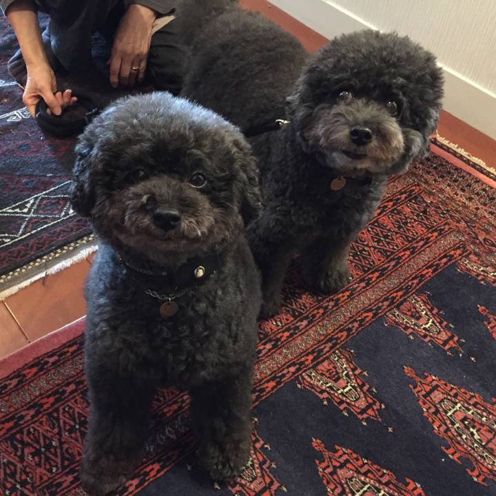 14050622 cdaf 4469 b532 2c00d996dd54