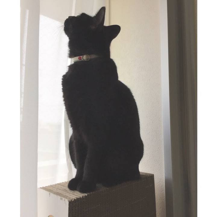 14052e8f ff74 4287 8e1d b01663fa376d