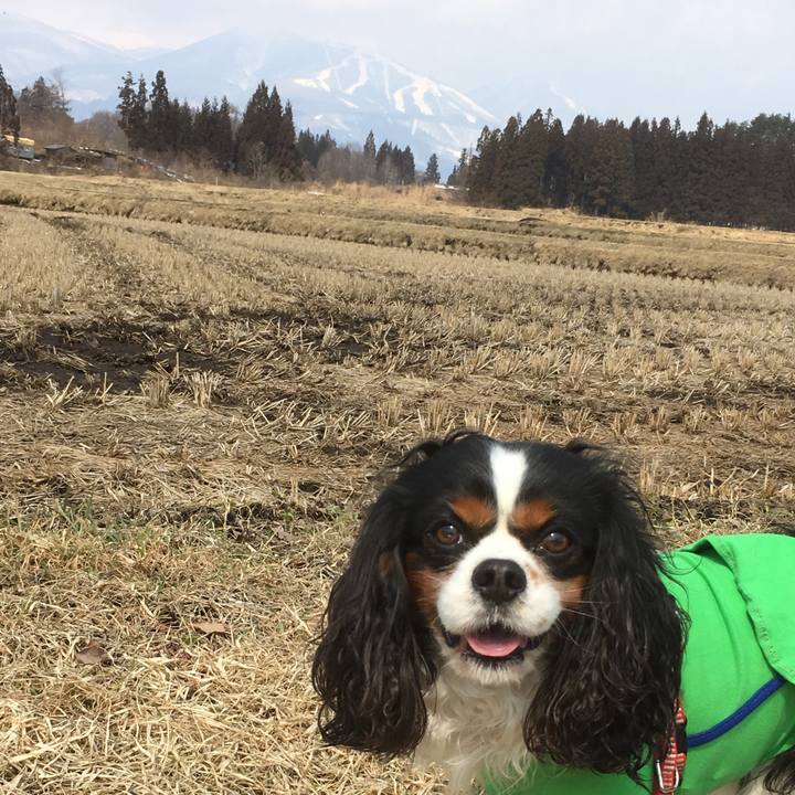 140557cd 16e0 4943 90f6 0b22f0310ed9