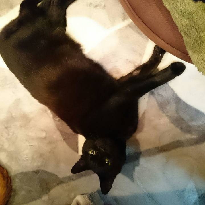 1405c114 9b54 4fae af0d dc428dfb496d