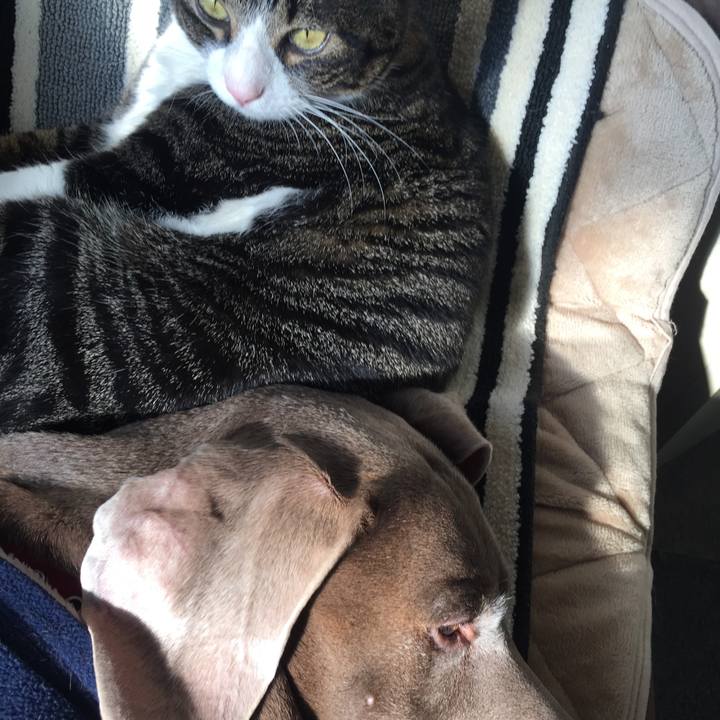 1405c82c 25b8 480f 9255 00105cede394