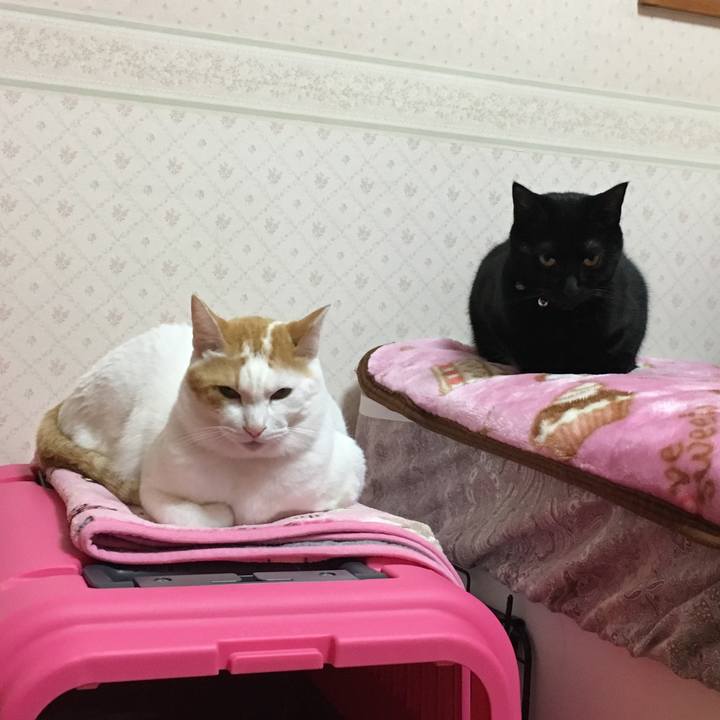 1405c876 ea39 4ce6 81a7 0da4a2b5aa42