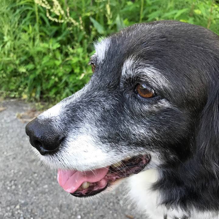 14060796 58b8 43dc ab42 c074b776fbf0