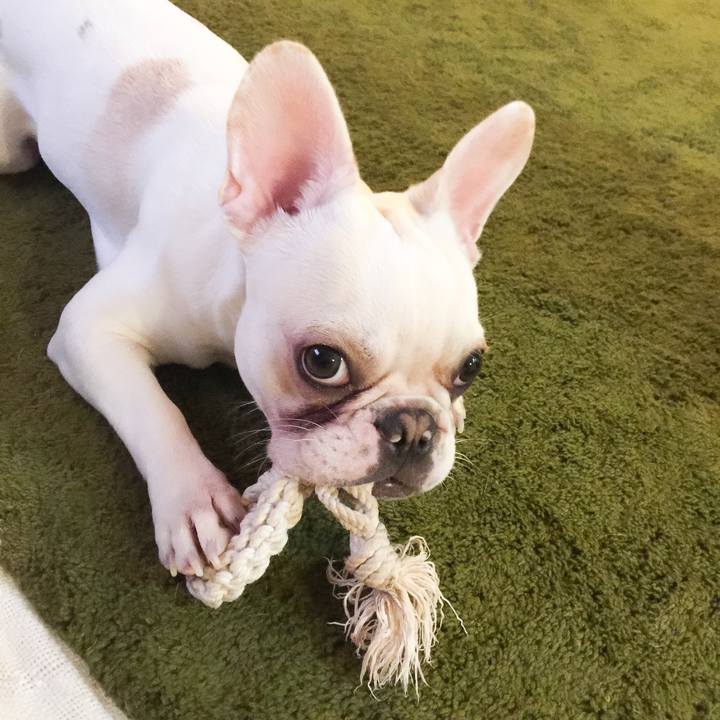 14065be3 bbce 4727 8261 30141a836fc4