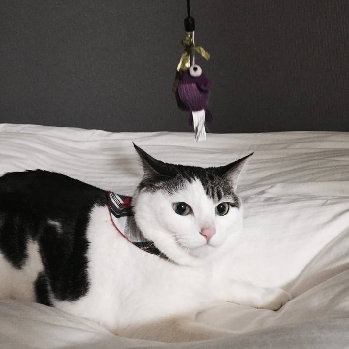 1406654e ca35 4f89 861d 32f5c2c85d8c