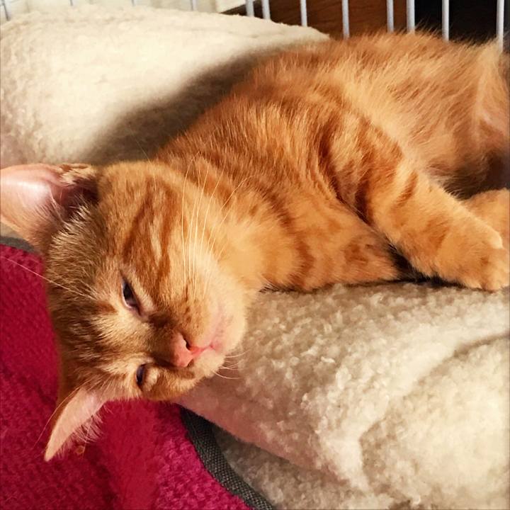 1407af69 e76d 4b38 8c89 c134331f3787