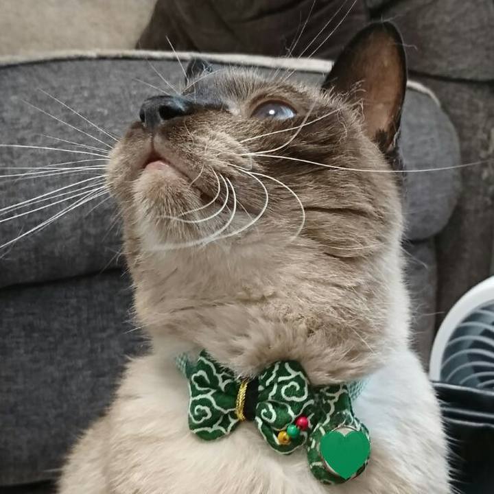 14081a3f d6ef 4a19 9ade 3d1fa610a60a