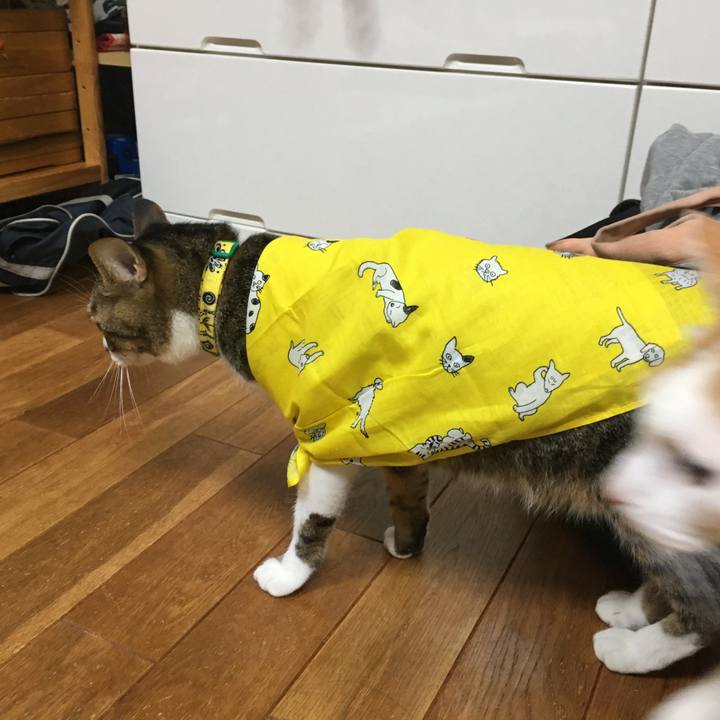 14084849 402c 4d6d 91ce e8d02633d1f0