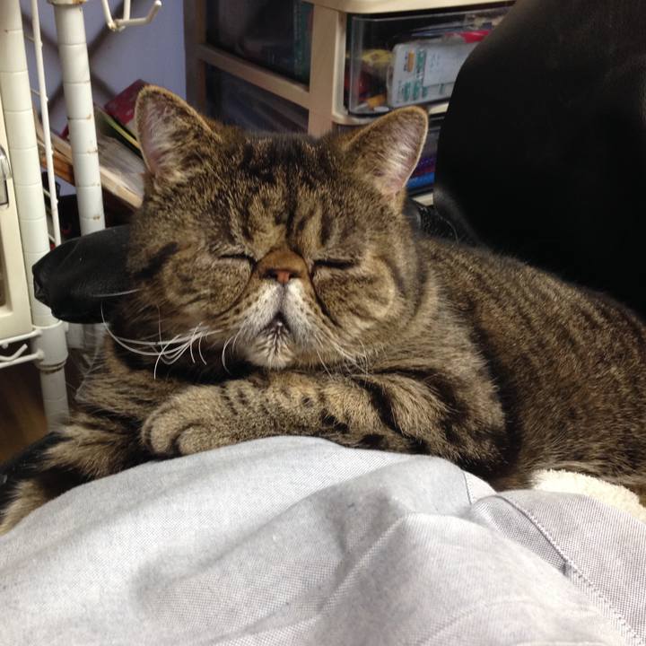 140852fe 3a41 432c 8ff4 51ac5d424537