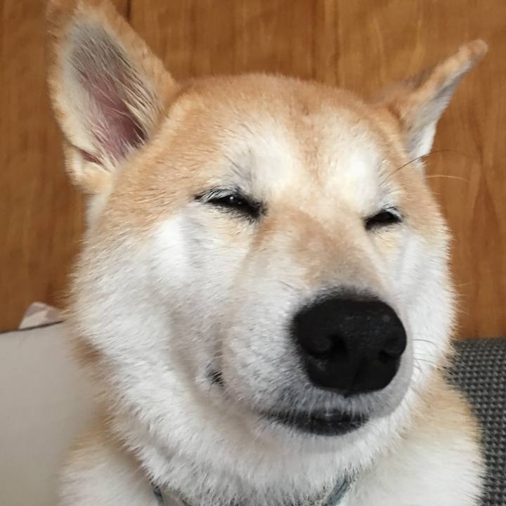 1409e282 281c 4750 b4f6 1c3b11a52471