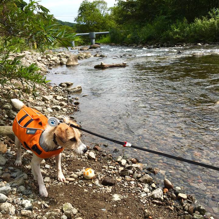 140a2704 8db9 4c23 a0b8 1b19b9bda000