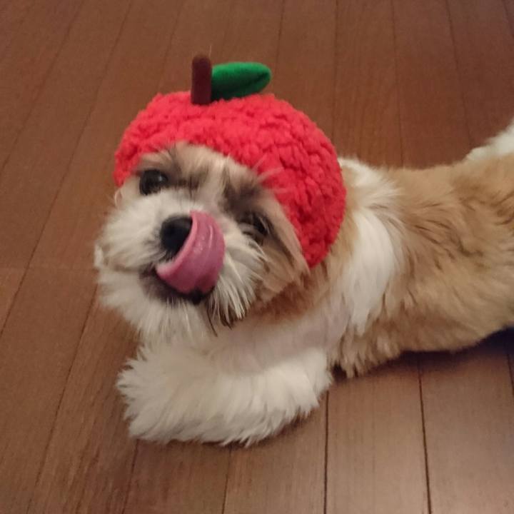 140a32a1 38a8 4aa6 95d6 30ede1c5e004