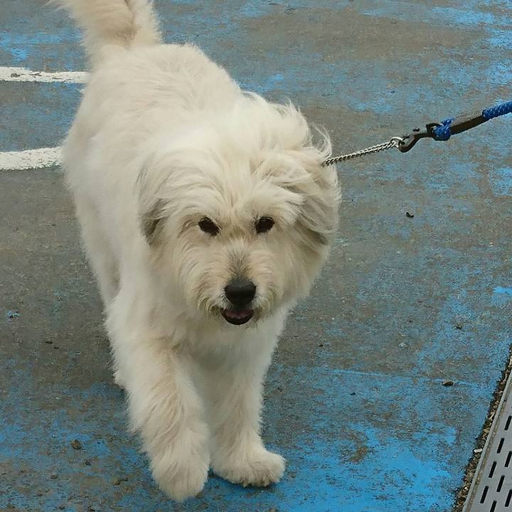 140a6a41 279e 44da bb00 315b35fe9eef