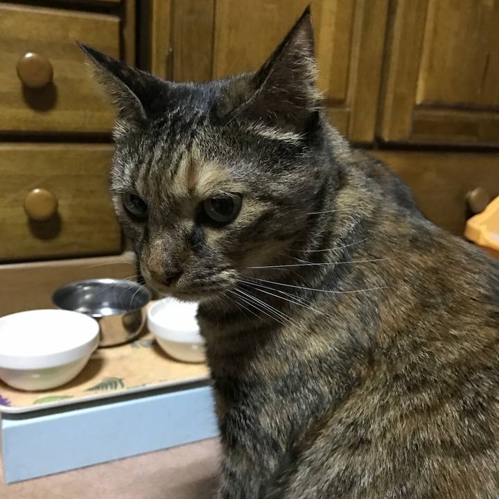 140ac904 d9c9 4b4b 86aa 28ba8aca699e