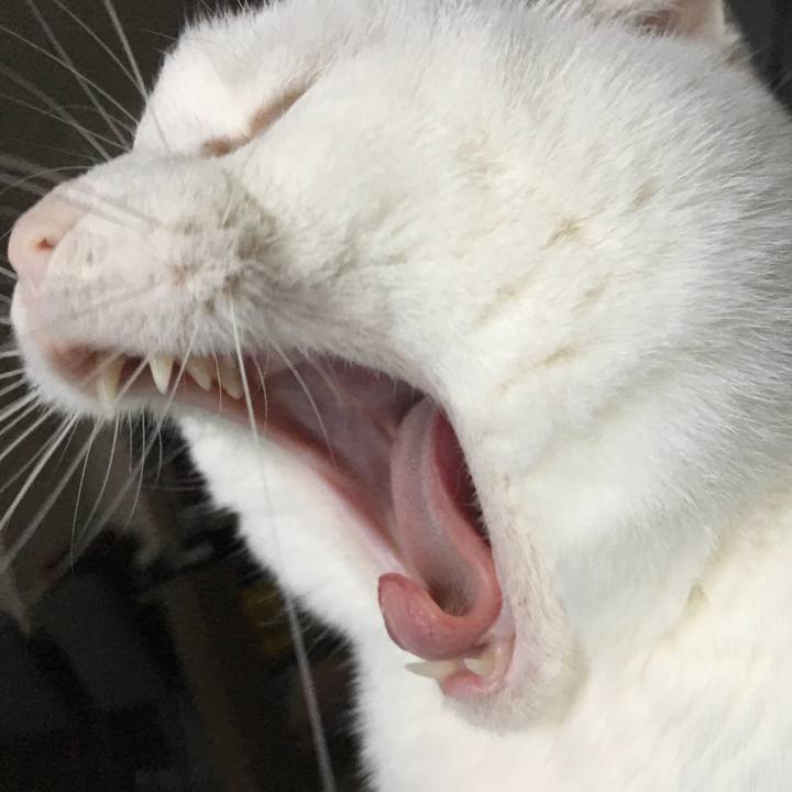 140b32a2 9675 4c56 837a 7e0d8c84c06c