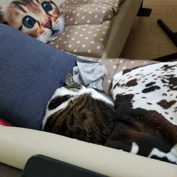 140b47e5 e4bd 44d4 a9c2 38136b9199d3