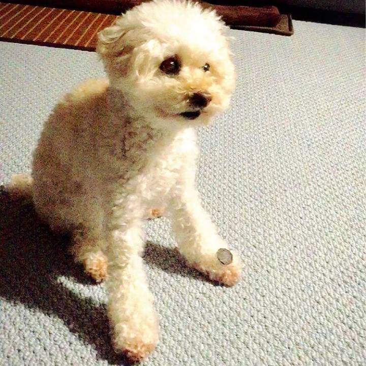 140b66c6 210f 45d5 9bed 1582ee69a647